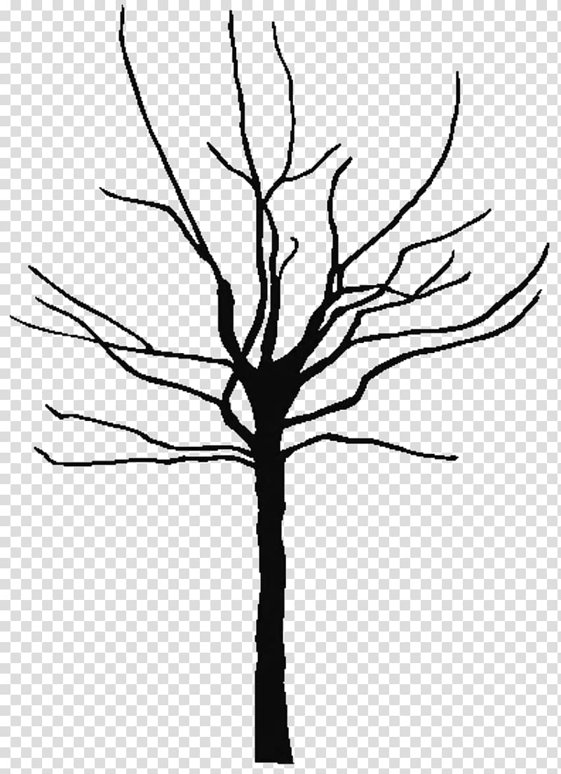 Tree Branch Oak , Bare transparent background PNG clipart