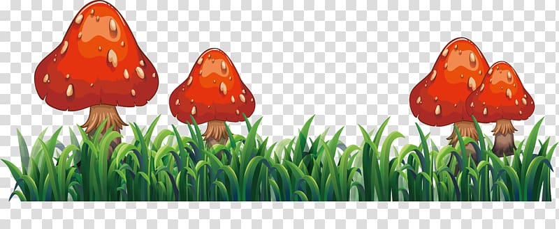 Flower Euclidean , Red mushroom transparent background PNG clipart