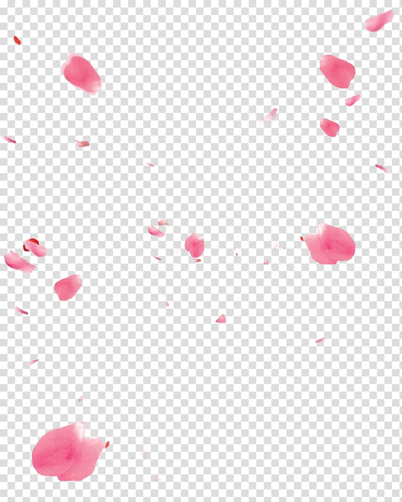 pink flower petals illustration, Computer file, Floating Petals transparent background PNG clipart