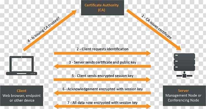 Certificate authority Transport Layer Security Online Certificate Status Protocol Public key certificate HTTPS, certificate of authorization transparent background PNG clipart