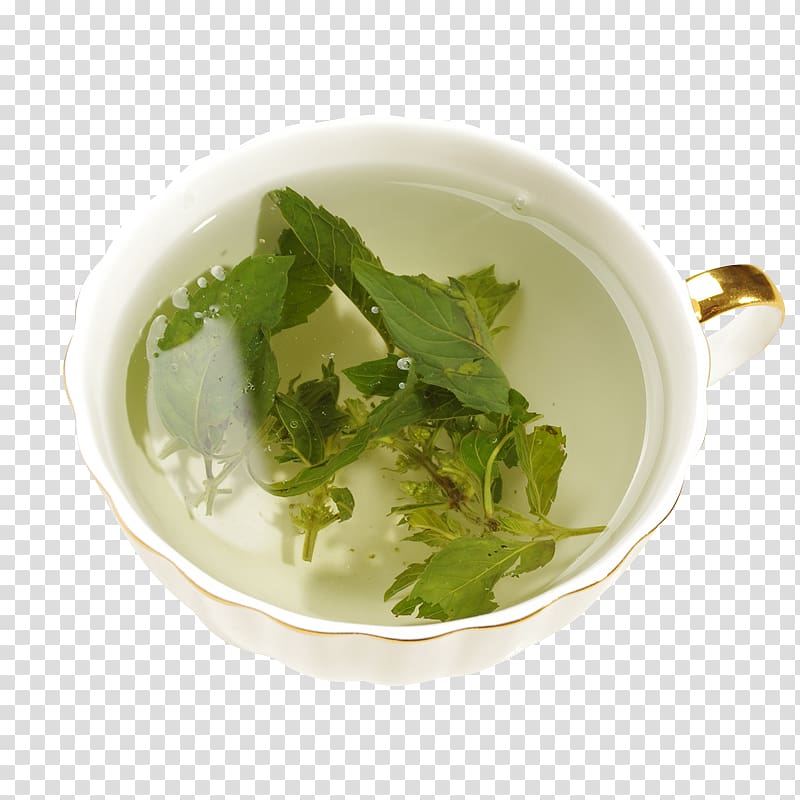 Green tea Maghrebi mint tea, Cup of tea and mint leaves transparent background PNG clipart