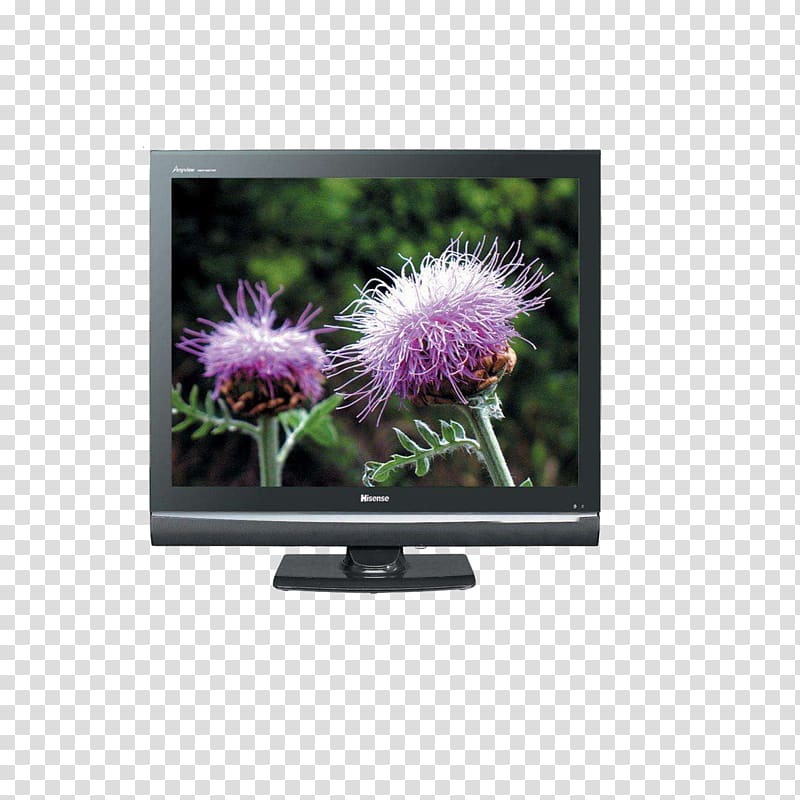Television Hisense Home appliance, Hisense TV transparent background PNG clipart
