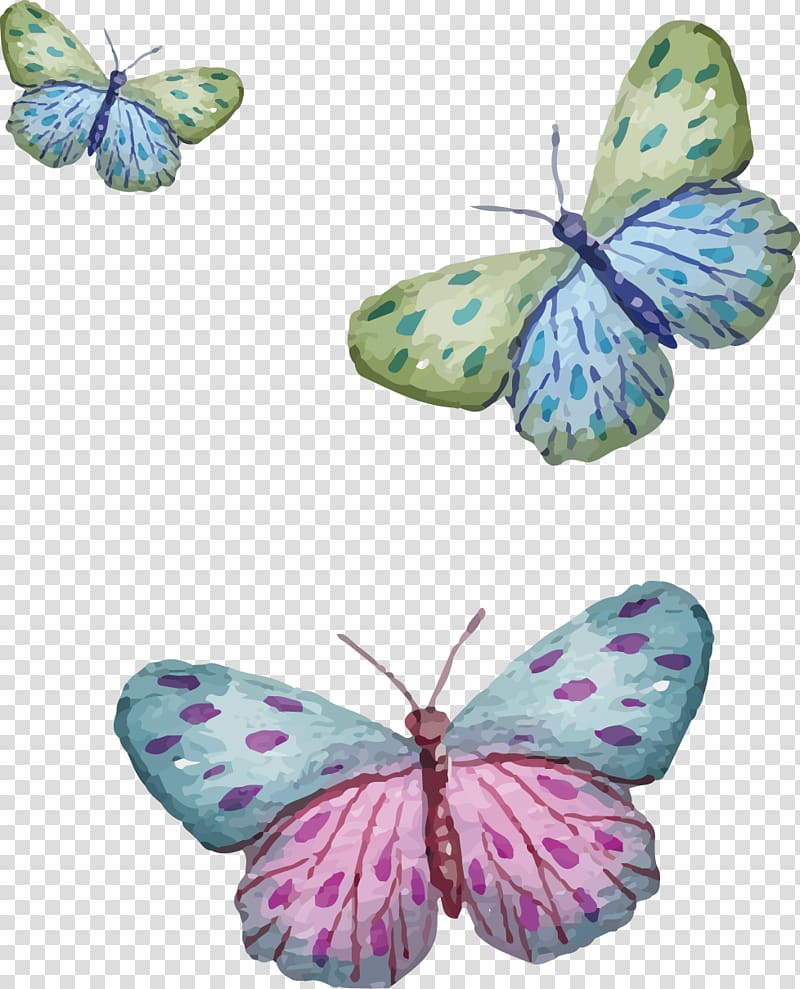three blue-and-green butterfly illustrations, painted three butterfly transparent background PNG clipart