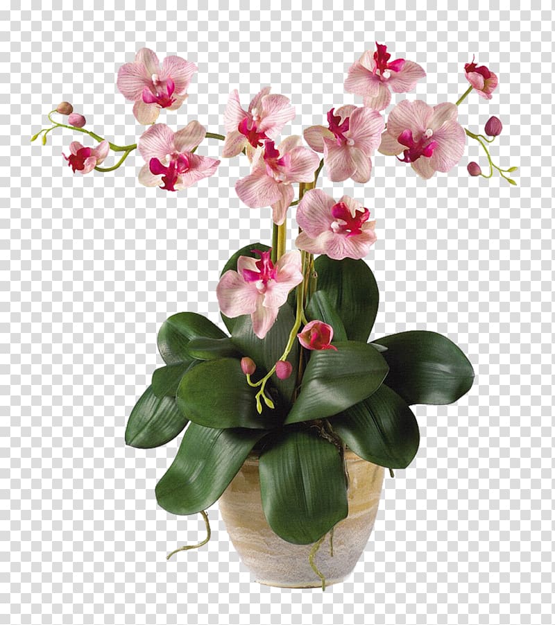 pink orchids on brown pot, Moth orchids Artificial flower Plant stem, flower pot transparent background PNG clipart