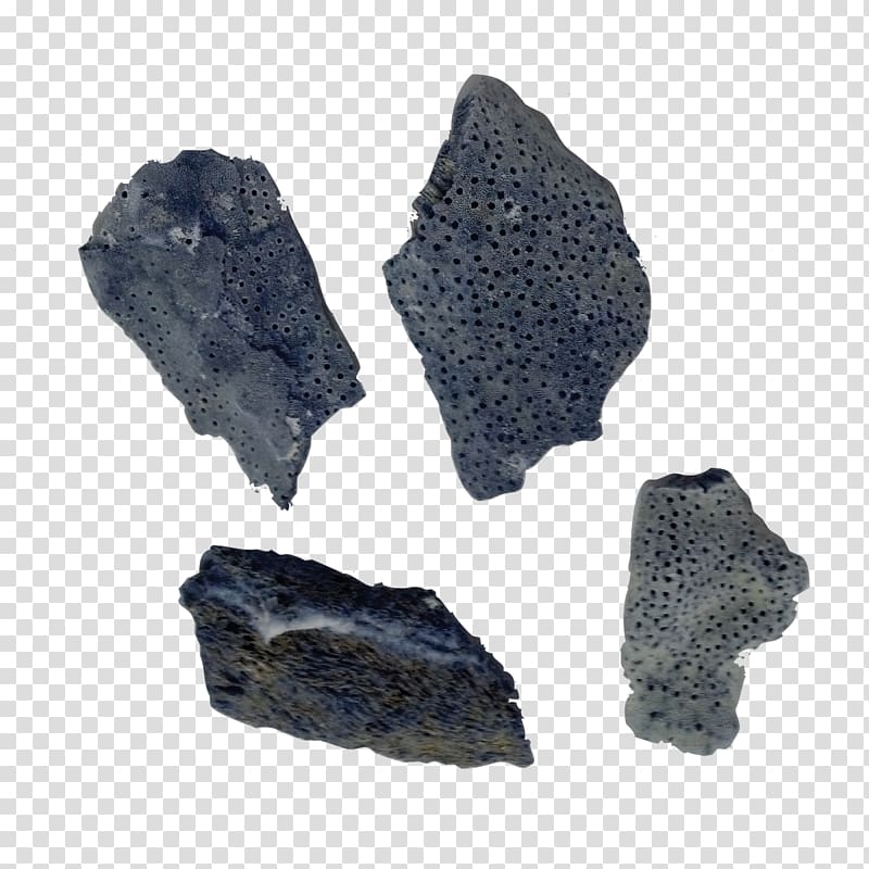 Igneous rock Mineral, Liver Fluke transparent background PNG clipart