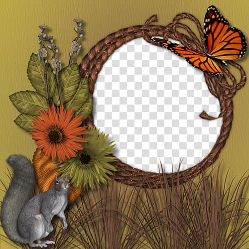 frame Squirrel! FREE , Department of Animal deep forest frame material transparent background PNG clipart