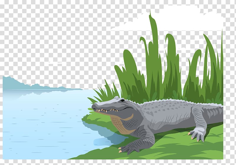 Alligator Crocodile Illustration, a small crocodile transparent background PNG clipart