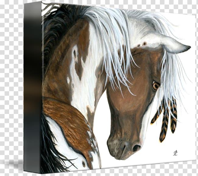 American Paint Horse Mustang Pony Mane American Quarter Horse, Painted Horse transparent background PNG clipart