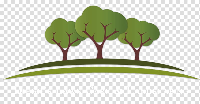 Tree Lawn Landscaping Garden , landscape transparent background PNG clipart