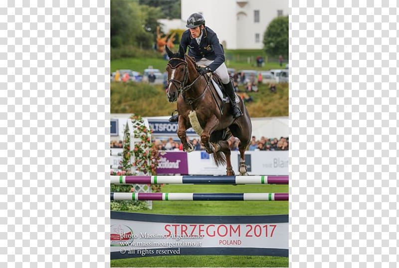 Show jumping Stallion Hunt seat Eventing Dressage, european castle transparent background PNG clipart