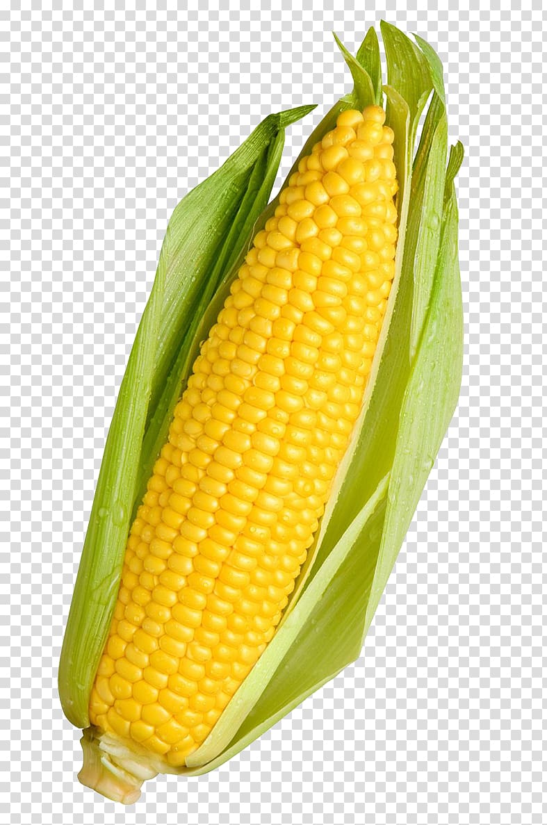 Corn on the cob Maize Sweet corn Vegetable Food, vegetable transparent background PNG clipart
