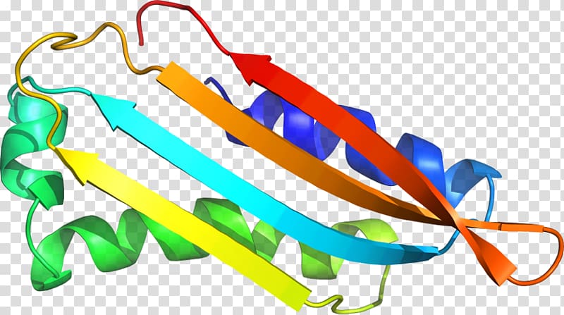 Line , design transparent background PNG clipart