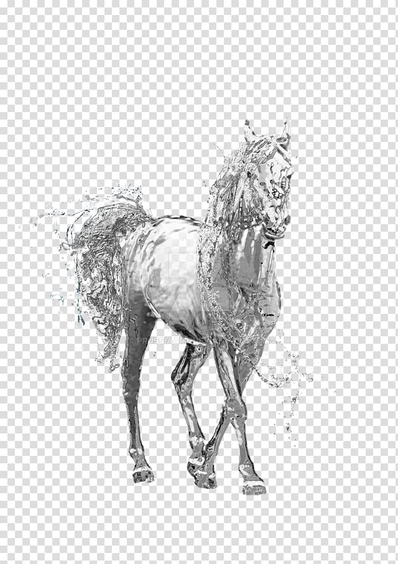 Horse Stallion , seahorse transparent background PNG clipart