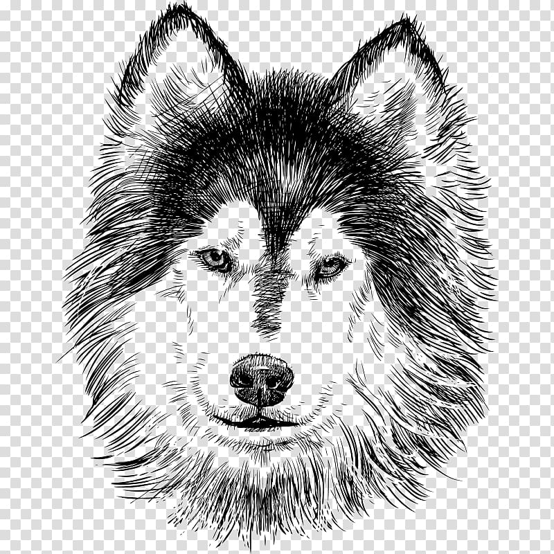 drawing animals,sketch transparent background PNG clipart