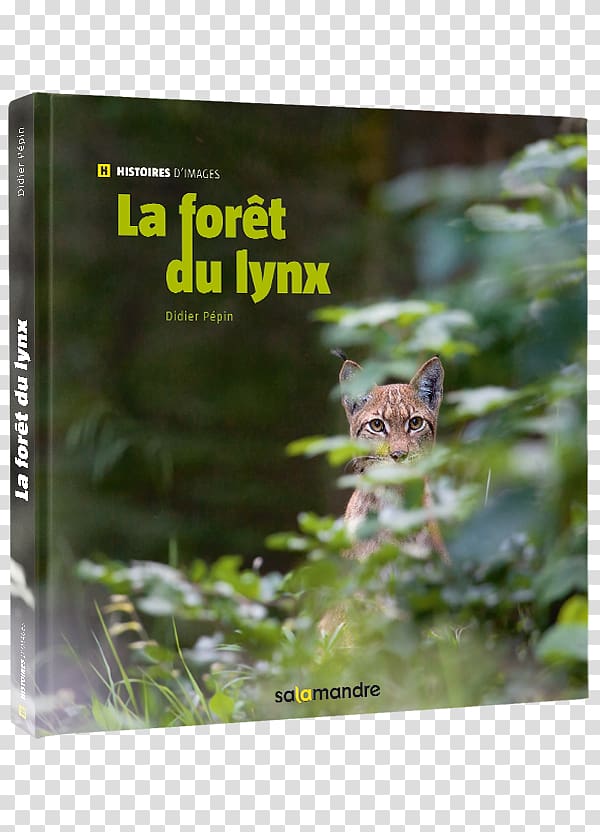 La forêt du lynx Gray wolf Iberian lynx Forest Book, foret transparent background PNG clipart