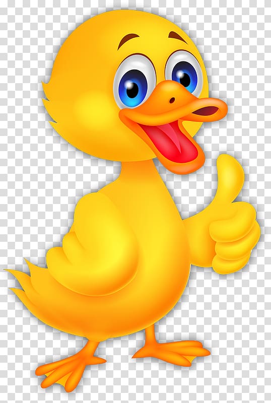 Donald Duck American Pekin Cartoon, donald duck transparent background PNG clipart