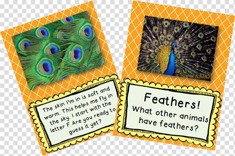 Feather Tail Pavo Mag-Neato, animal skin transparent background PNG clipart