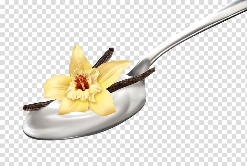 Milk Yoghurt Vanilla Flavor Extract, rich flowers transparent background PNG clipart