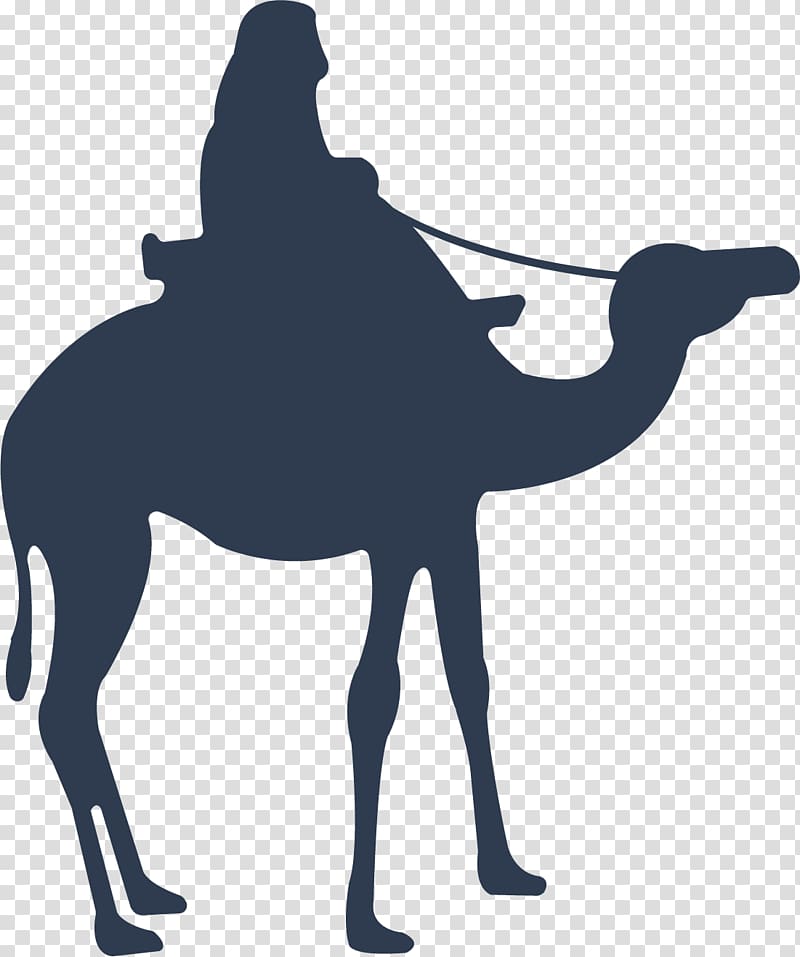 Camel Icon, Blue Camel transparent background PNG clipart