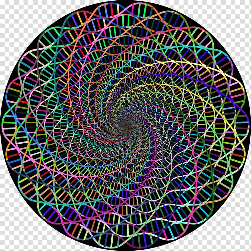Curve Circle Spiral , vortex transparent background PNG clipart
