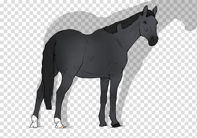 Mane Mustang Stallion Foal Mare, waddle Penguin transparent background PNG clipart