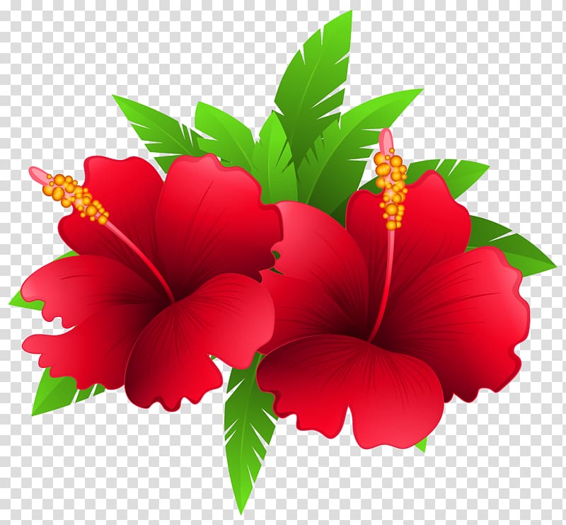 illustration of two red flowers, Flower Plant , Exotic Flowers and Plant transparent background PNG clipart
