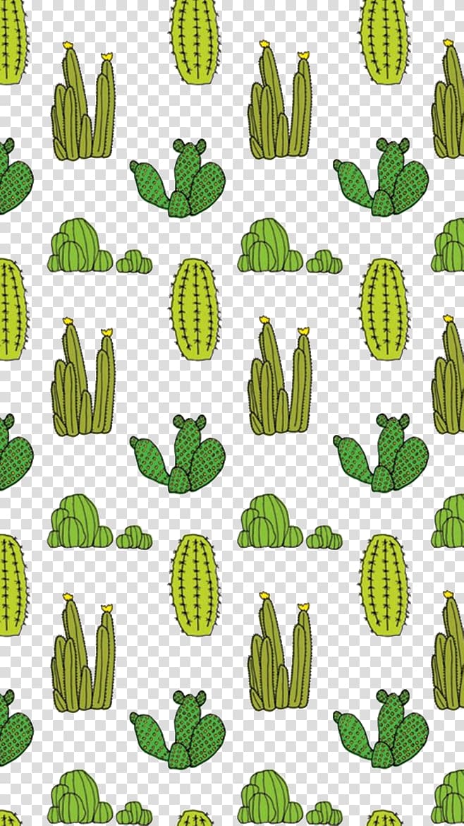 Paper Cactaceae Succulent plant , cactus transparent background PNG clipart