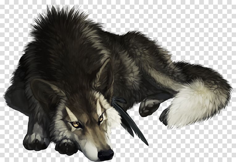 Saarloos wolfdog Native American Indian Dog Basior Alaskan tundra wolf, others transparent background PNG clipart