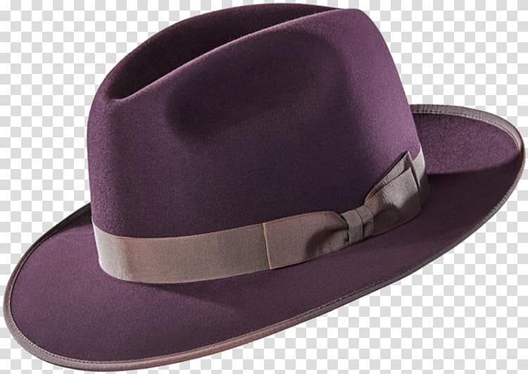 Sparkle Time Fedora Transparent