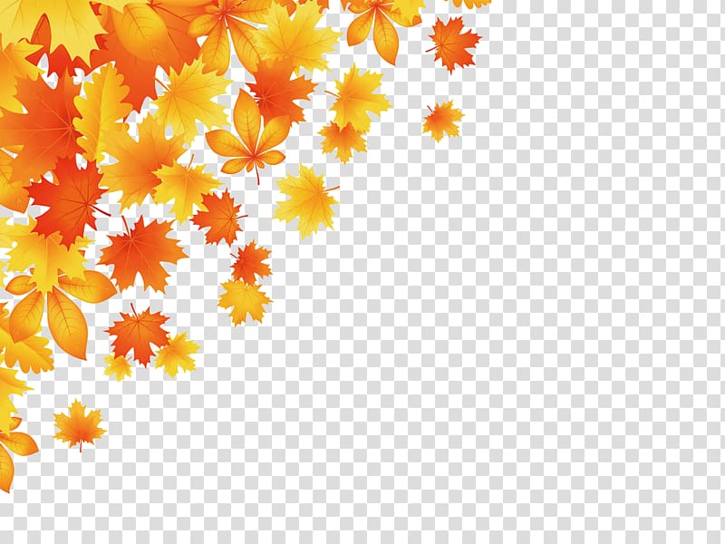 yellow and orange leaves border, Autumn leaf color , leaf transparent background PNG clipart