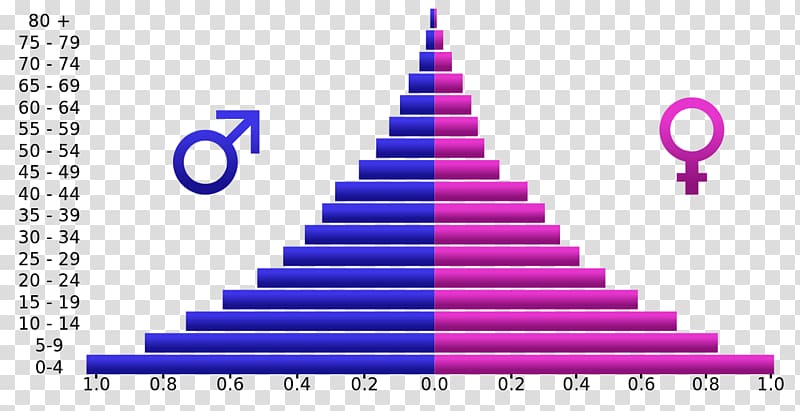 Population pyramid Demographic transition Population Age Structure, human aging transparent background PNG clipart