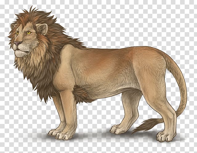 Lion Mutation Leopon Mane Hybrid, lion head transparent background PNG clipart