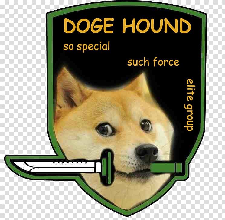 Shiba Inu Doge Foxhound Gun dog, others transparent background PNG clipart