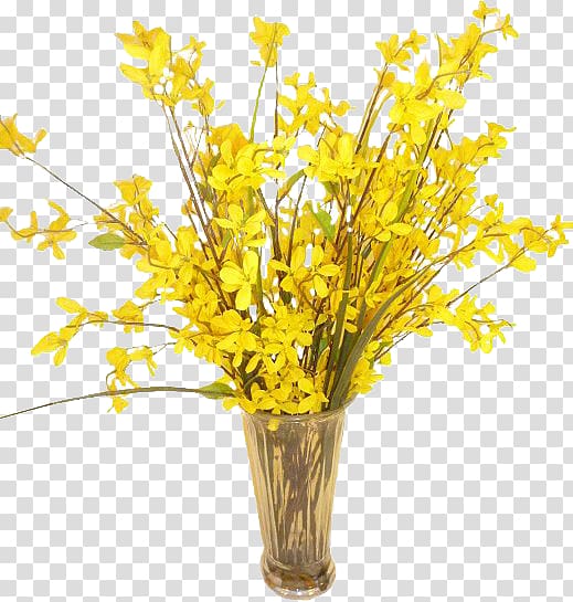 Cut flowers Floral design Vase Forsythia, vase transparent background PNG clipart