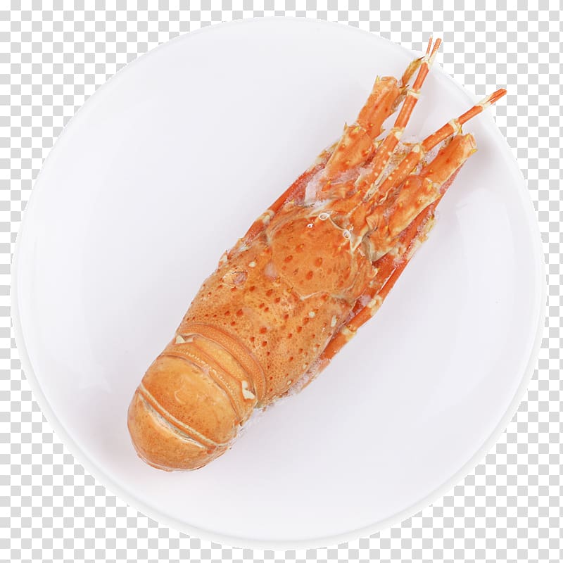 American lobster Palinurus Shrimp Seafood, Imported lobster transparent background PNG clipart