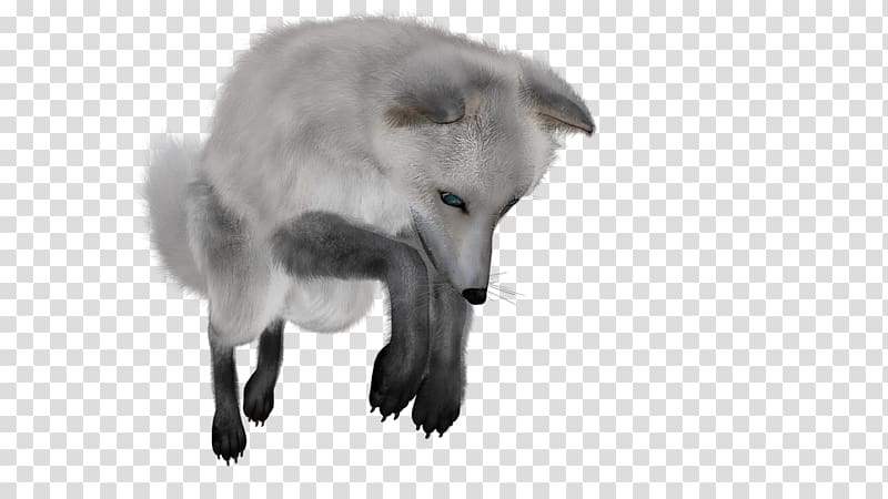 gray and black fox art, Arctic fox transparent background PNG clipart