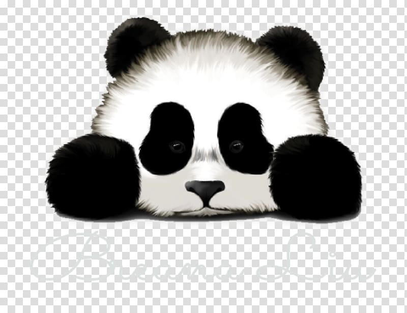 Giant panda Sadness Cuteness T-shirt Drawing, panda transparent background PNG clipart