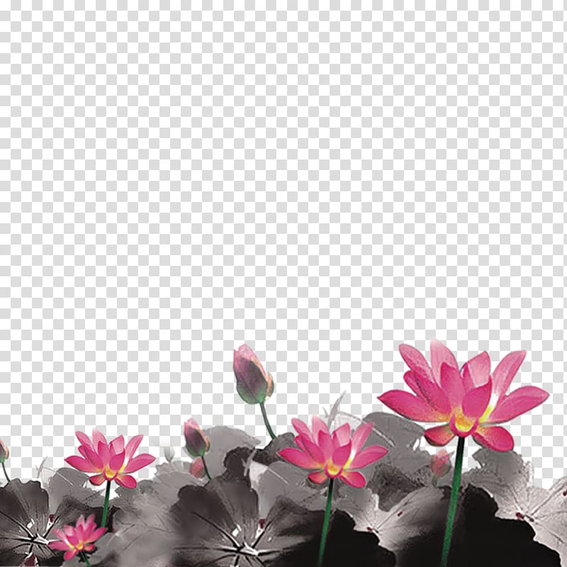Ink wash painting , Lotus transparent background PNG clipart