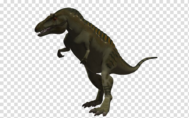 Tyrannosaurus Acrocanthosaurus Spinosaurus Aucasaurus Dinosaur, dinosaur transparent background PNG clipart