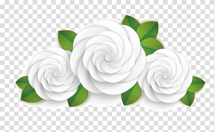 Euclidean , White Peony transparent background PNG clipart