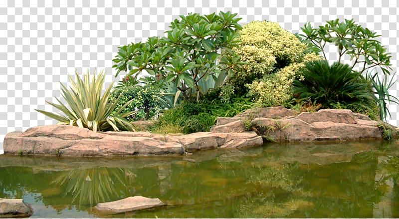 green leafed plants, Landscape Rock garden Computer file, Green garden lake transparent background PNG clipart