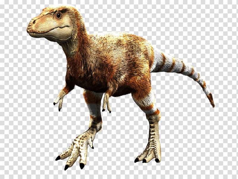 Baby Tyrannosaurus rex Velociraptor Daspletosaurus Dinosaur, Tyrannosaurus transparent background PNG clipart
