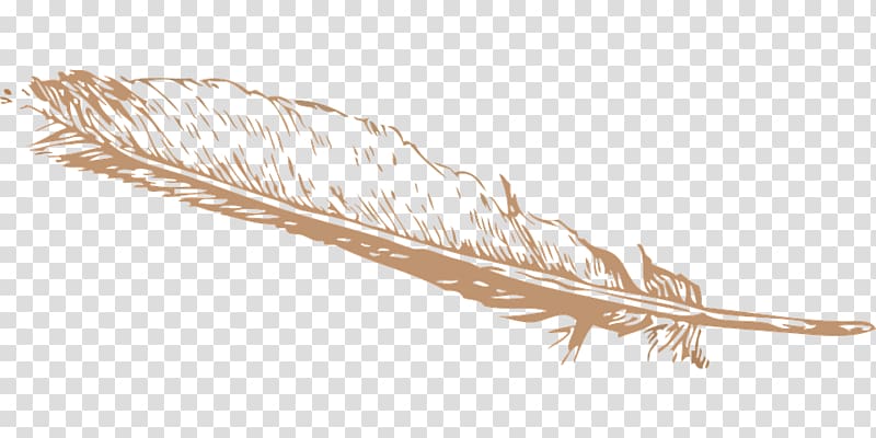 orange feather painting, Feather , feather transparent background PNG clipart