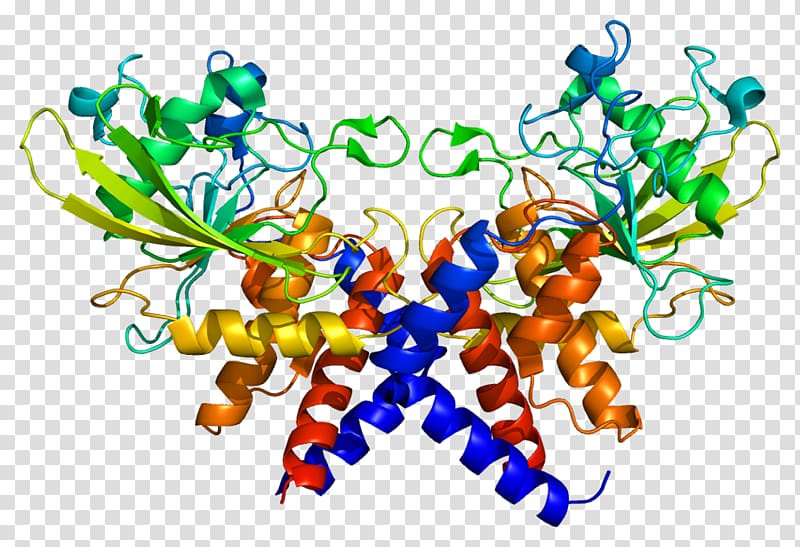 Replication protein A3 Single-stranded binding protein Replication protein A1, others transparent background PNG clipart