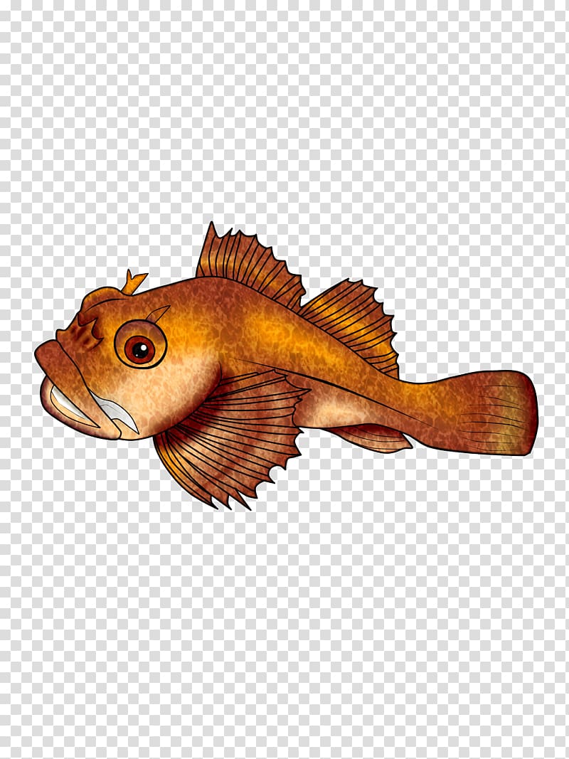 Fauna Marine biology Fish, fish & chips transparent background PNG clipart