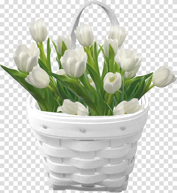 Tulip Flower bouquet Desktop , tulips transparent background PNG clipart