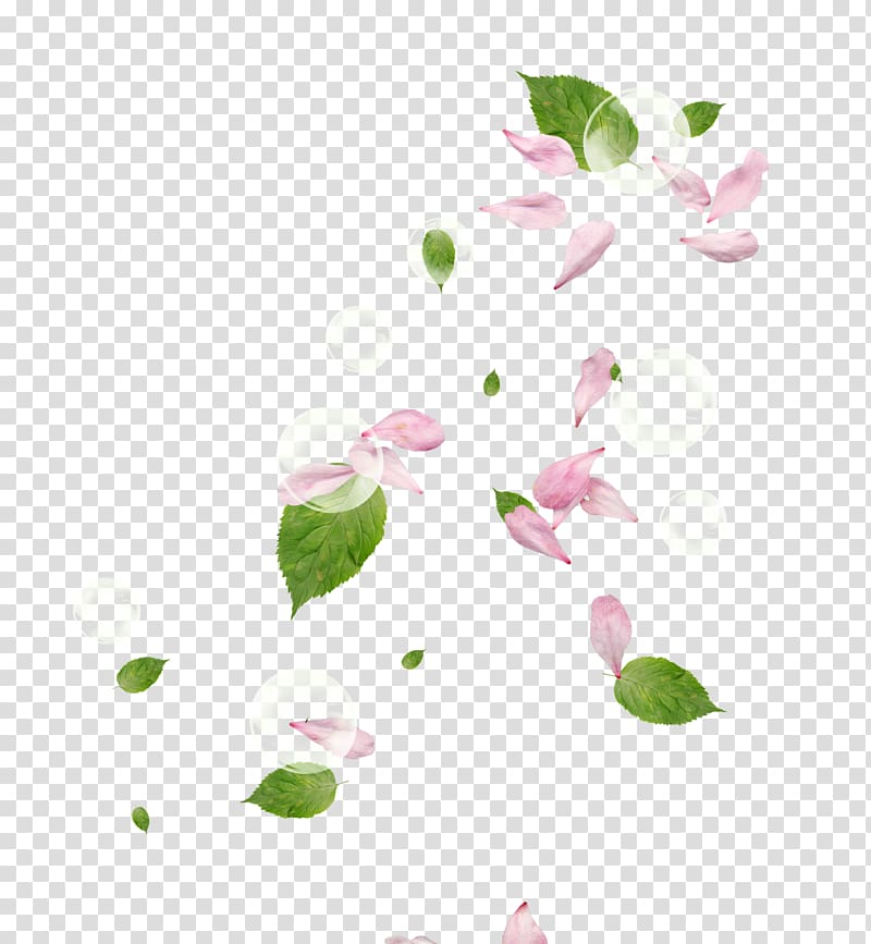 pink rose flower petals and bubbles illustration, Petal Flower Pink, Peach petals,Pink transparent background PNG clipart