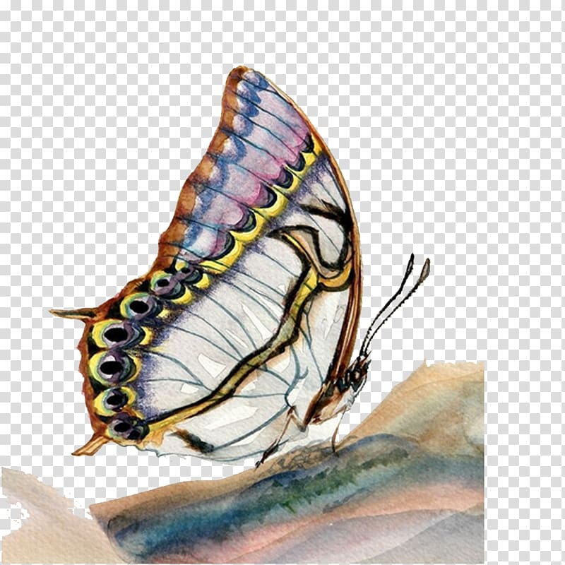 The Art of Painting Butterfly Oil painting Watercolor painting, Hand drawn retro material Butterfly transparent background PNG clipart
