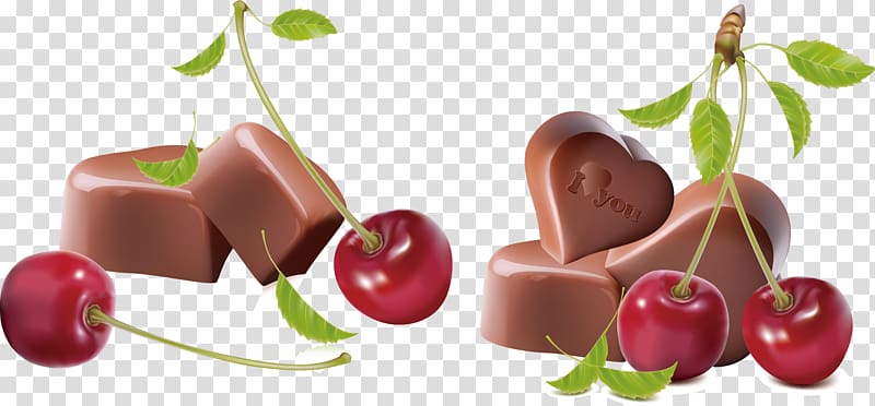 Chocolate-covered cherry Praline Cupcake Chocolate cake Hot chocolate, I love chocolate and cherries transparent background PNG clipart