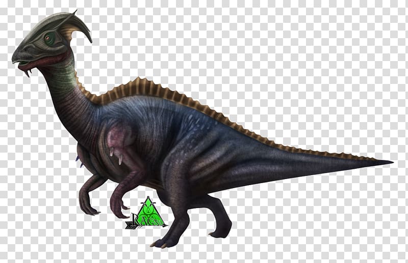 Tyrannosaurus Velociraptor Extinction Terrestrial animal, Parasaurolophini transparent background PNG clipart